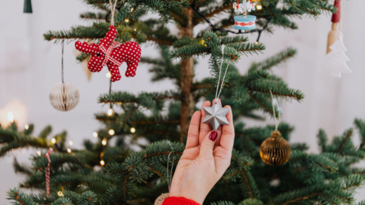 Artificial Christmas Trees in Schools and Colleges: Giving a Chance for a Better Future