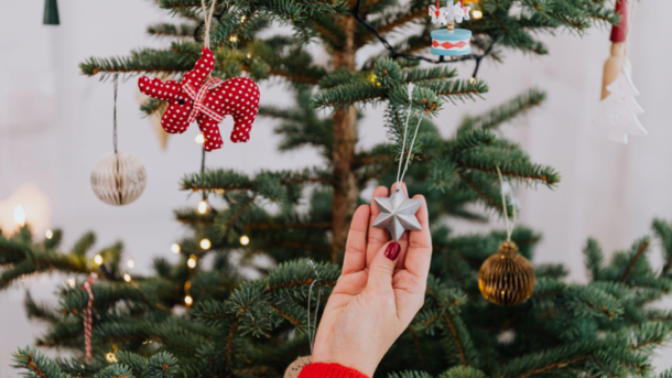 Artificial Christmas Trees in Schools and Colleges: Giving a Chance for a Better Future