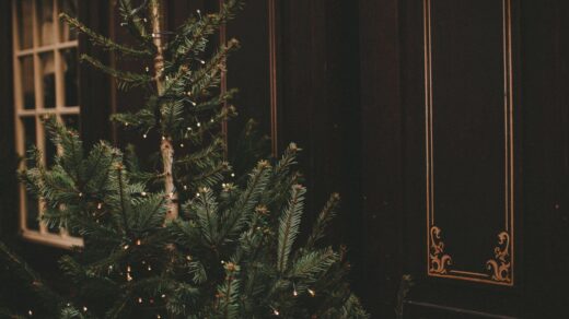 Perfect Table Top Christmas Trees for Festive Memories