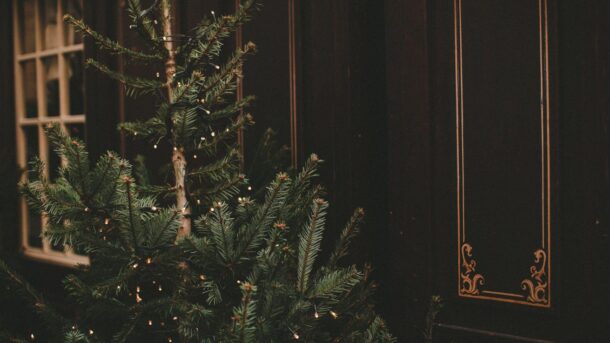 Perfect Table Top Christmas Trees for Festive Memories